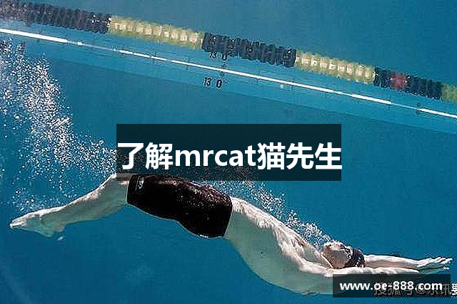 了解mrcat猫先生